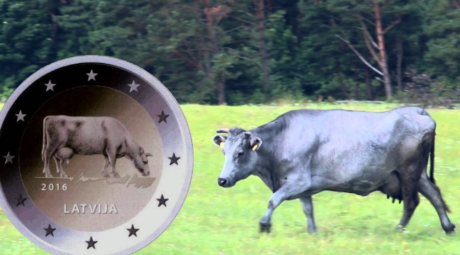 Latvijas Banku 2 eiro piemiņas monēta ar gotiņu tiks izlaista jūnijā.